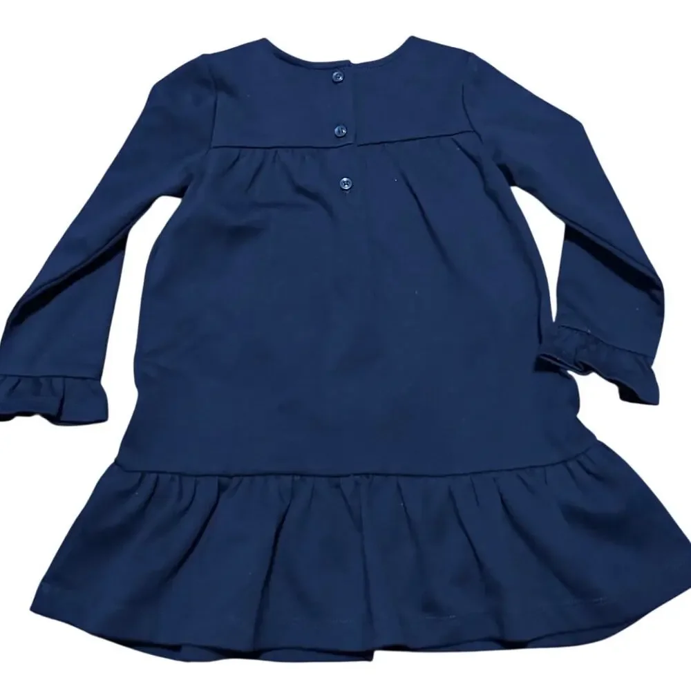 Janie and Jack | NWT Blue Rose Embroidered Long Sleeve Dress 18-24 months